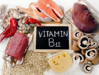 nahrungsmittel viel vitamin b12