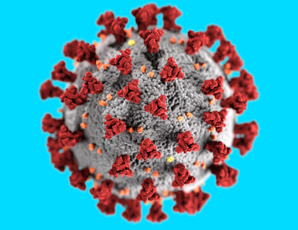 Coronavirus Covid19