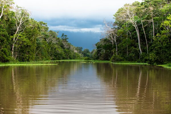 longest rivers on earth