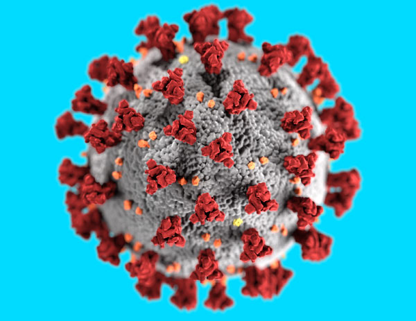Coronavirus covid 19 virus